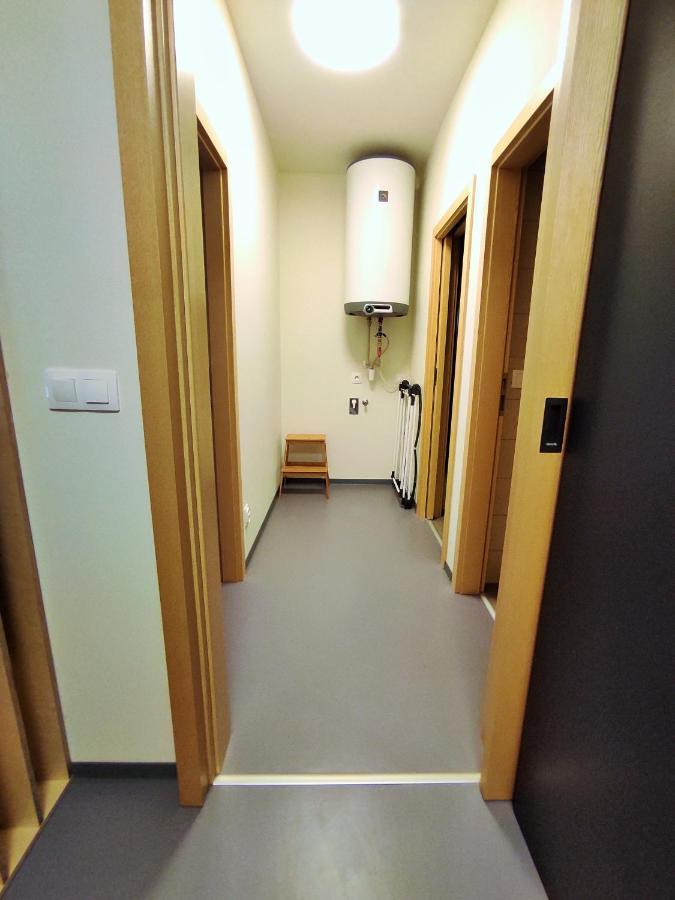 Apartman Svan B2 Říčky Extérieur photo